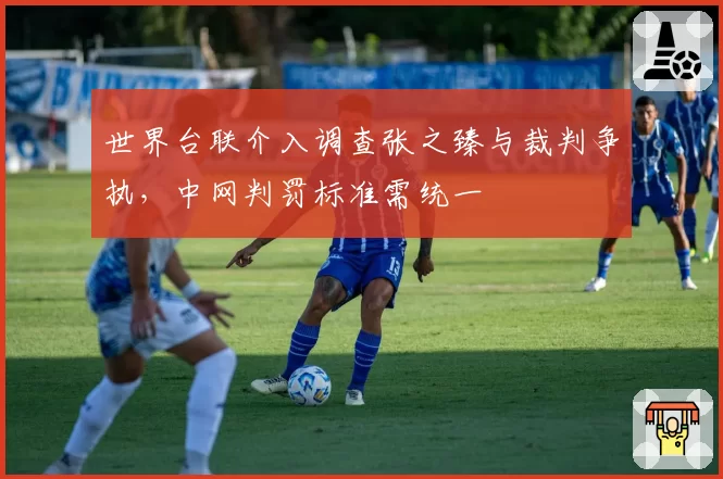 世界台联介入调查张之臻与裁判争执，中网判罚标准需统一