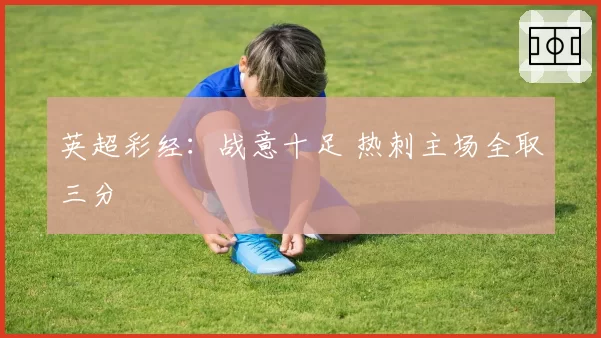 英超彩经：战意十足 热刺主场全取三分