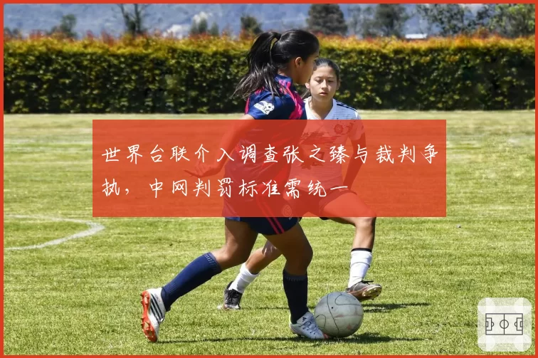 世界台联介入调查张之臻与裁判争执，中网判罚标准需统一