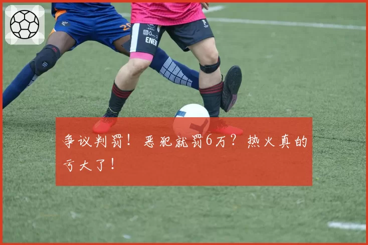 争议判罚！恶犯就罚6万？热火真的亏大了！