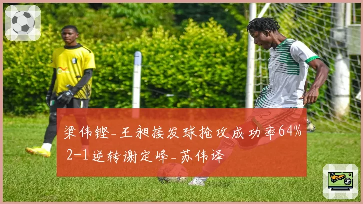 梁伟铿_王昶接发球抢攻成功率64% 2-1逆转谢定峰_苏伟译