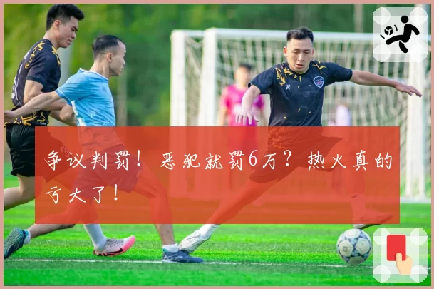 争议判罚！恶犯就罚6万？热火真的亏大了！
